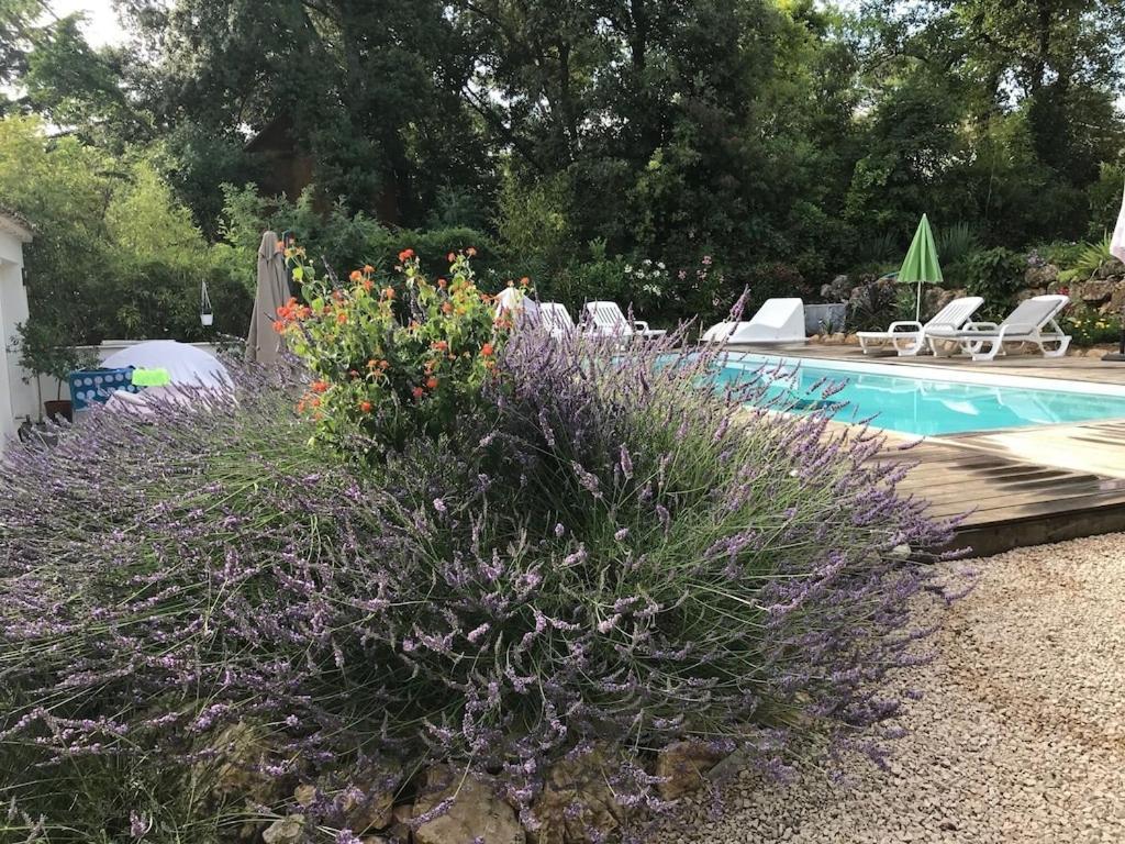 רוקפור-לה-פה Villa Oha Close Cannes,Nice, Valbonne , Opio מראה חיצוני תמונה