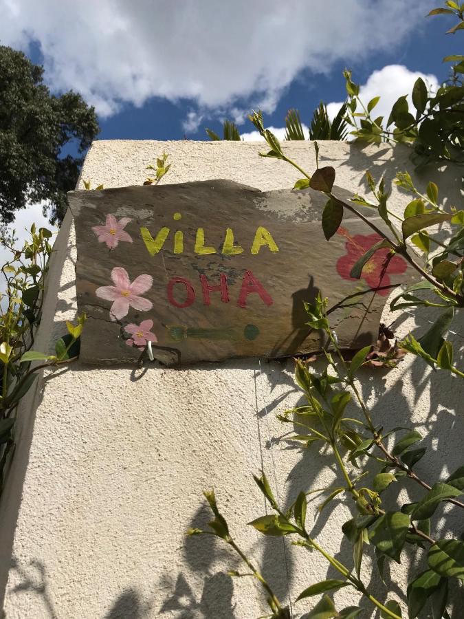 רוקפור-לה-פה Villa Oha Close Cannes,Nice, Valbonne , Opio מראה חיצוני תמונה